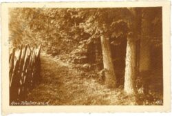 am waldrand