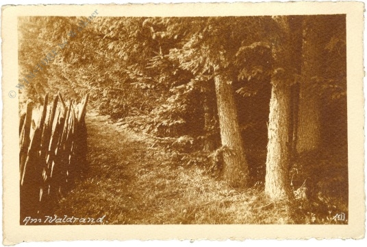 am waldrand am waldrand