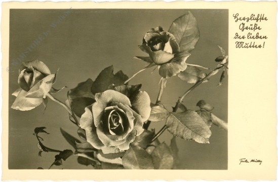 rosen