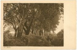 schattige rast schattige rast