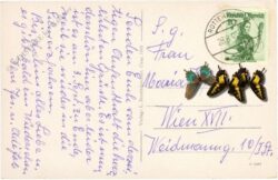 rottenmann, pension burg strechau