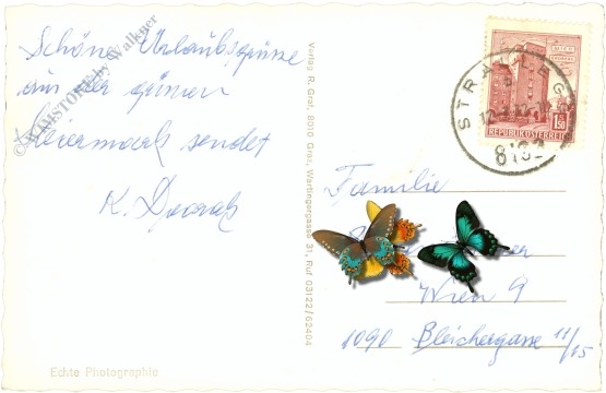 strallegg, ortsansicht