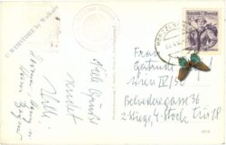 spital am semmering, karl lechner haus am stuhleck