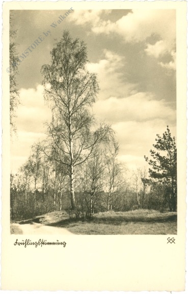 frühlingsstimmung frühlingsstimmung