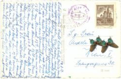 innsbruck, höttingeralm mit frau hitt und sattelspitzen