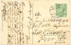 zelenika, castelnuovo