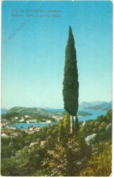 dubrovnik, lapad ansicht