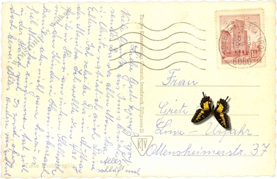 innsbruck, maria theresien straße mit annasäule und nordkette