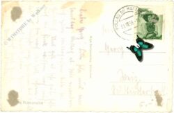 kitzbühel, ortsansicht