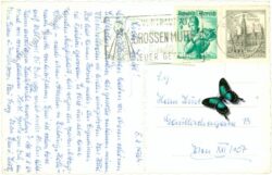 weichselboden, prescenyklause, tunnel