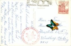 schladming, planai, blick gegen ramsau und dachsteingebirge