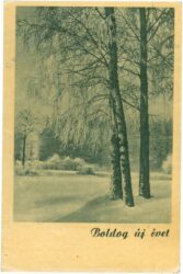 neujahr, verschneiter wald