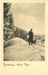 neujahr, spaziergang im schnee mit dem hund