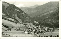 wald am schoberpass, ortsansicht