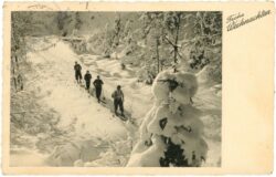 weihnachten, schneewanderung