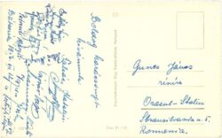 weihnachten, kerze auf zweig