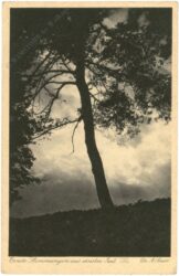 sauer, dr. a.: ernste stimmungen aus ernster zeit