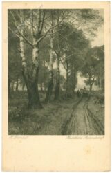 darnaut, h.: herbstliche aulandschaft