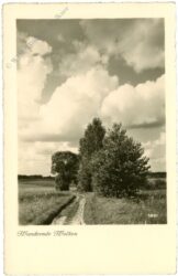 wandernde wolken wandernde wolken