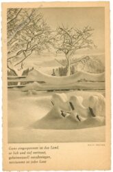verschneite landschaft mit vers