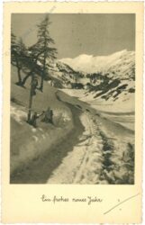 neujahr, verschneiter weg