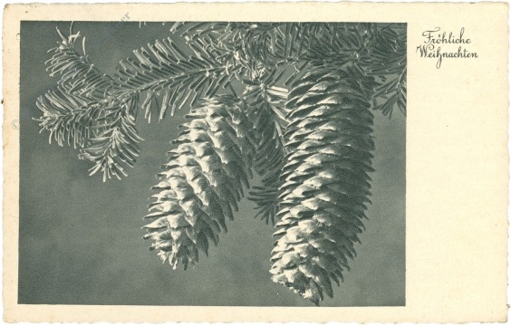 weihnachten, tannenzapfen