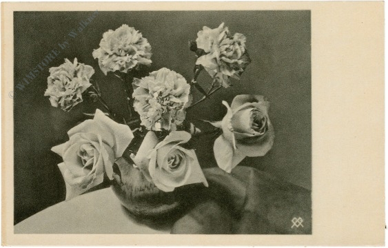 rosen und nelken