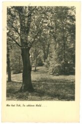 wer hat dich, du schöner wald...