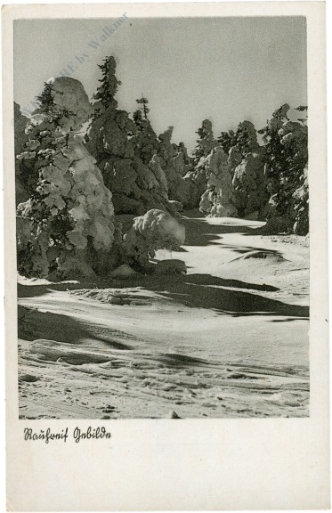verschneiter wald verschneiter wald