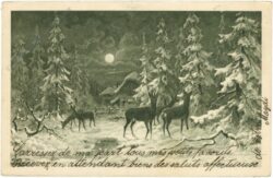 rehe im winterlichen wald