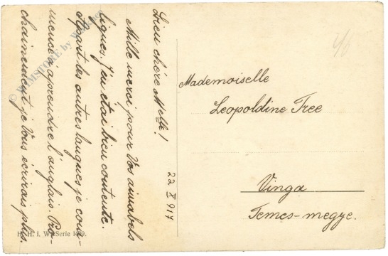 rehe im winterlichen wald