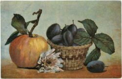 apfel und zwetschken