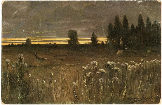 rehe auf einer wiese