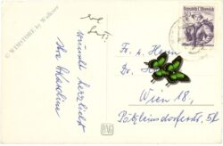 weihnachten, kerze auf zweig