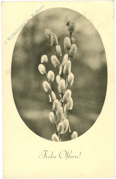 ostern, palmkätzchen