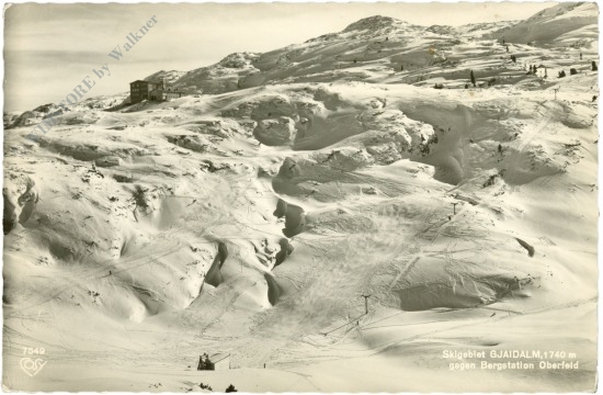 obertraun, gjaidalm gegen bergstation oberfeld