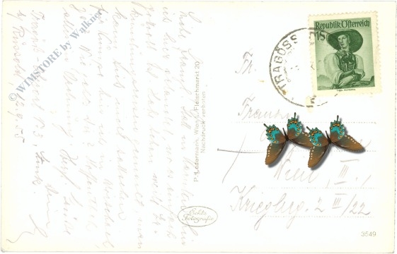 tragöss, oberort, mit griesmauer und pribitz