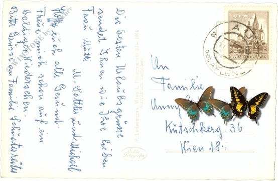 turnau, turnauer alpe gegen hochanger und hochschwab