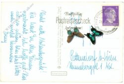 königstein im taunus, taunusheim