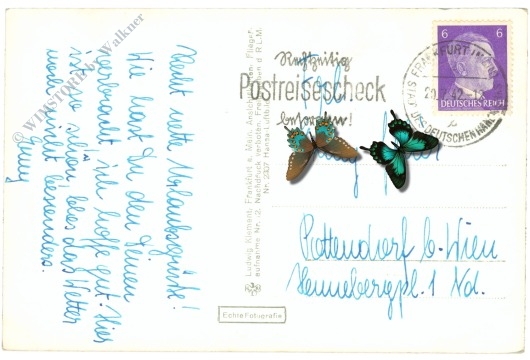 königstein im taunus, taunusheim