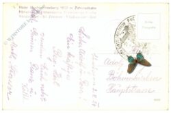 puchberg am schneeberg, hotel hochschneeberg, zahnradbahn