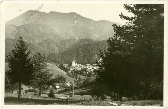 türnitz, ortsansicht