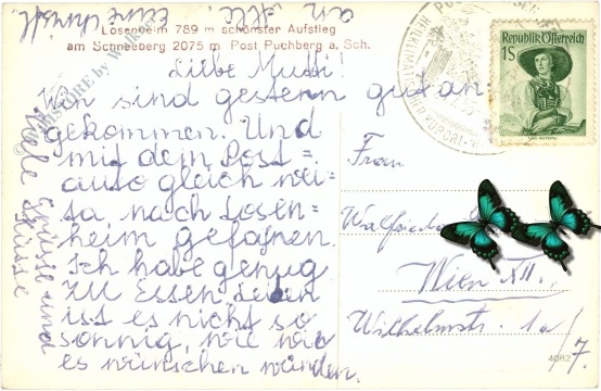 puchberg am schneeberg, losenheim