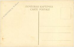 spaziergang im schnee