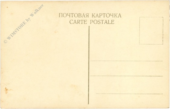 spaziergang im schnee