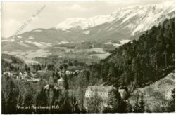 reichenau an der rax, ortsansicht
