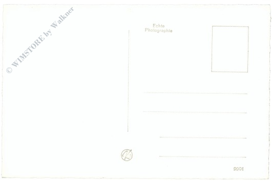 reichenau an der rax, ortsansicht