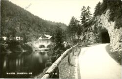 walster, hubertus see