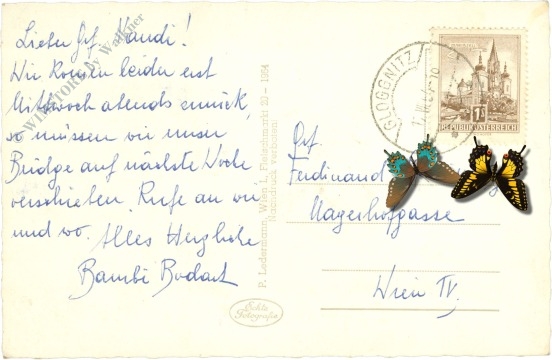 raach am hochgebirge, schloss wartenstein gegen rax