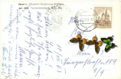 puchberg am schneeberg, kaiserin elisabeth gedächtnis kirchlein auf dem hochschneeberg